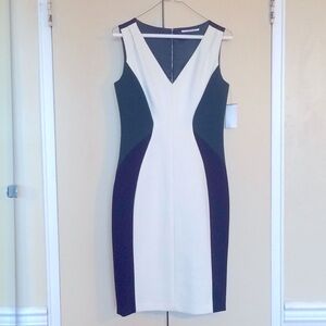 Tahari thinning sample size dress
